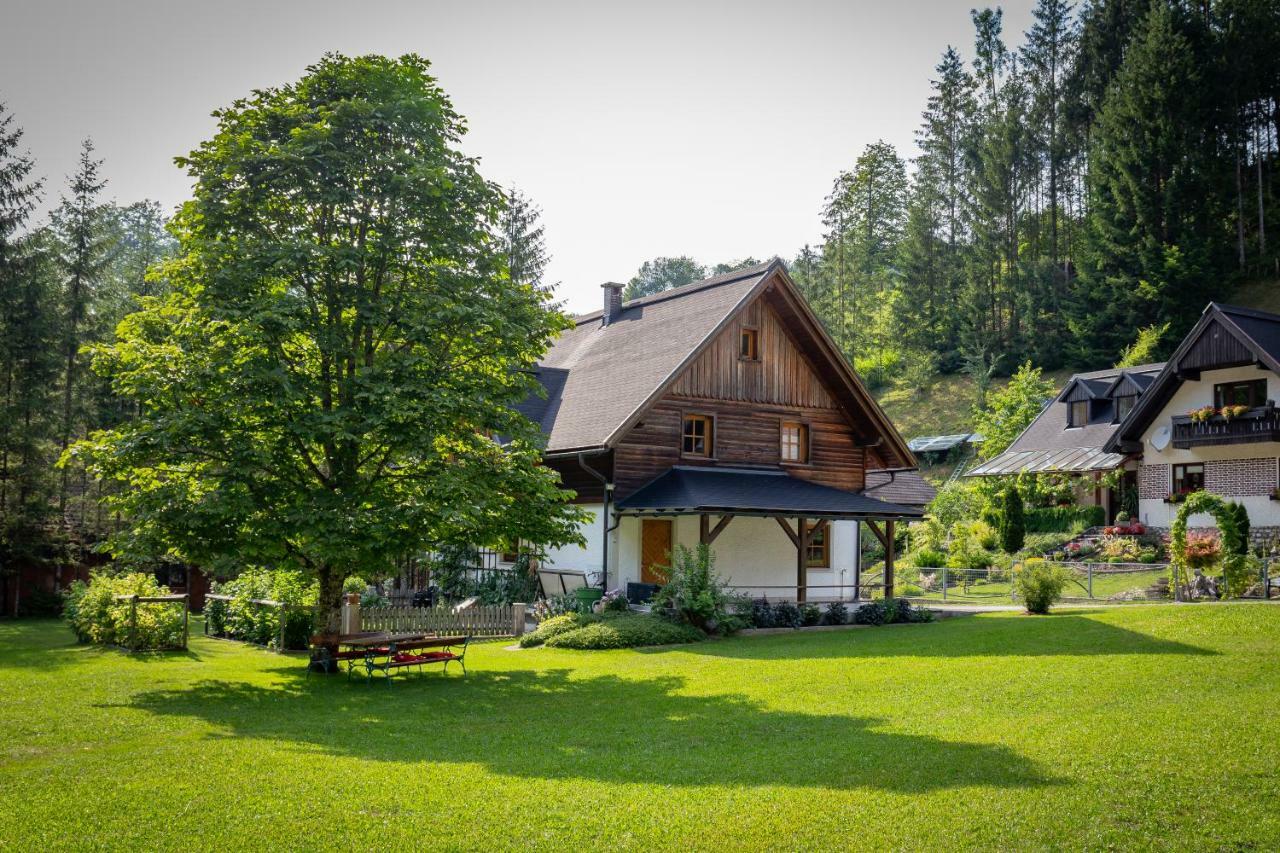 Willa Ferienhaus Goestling Göstling an der Ybbs Zewnętrze zdjęcie
